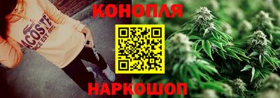 гашик Бузулук