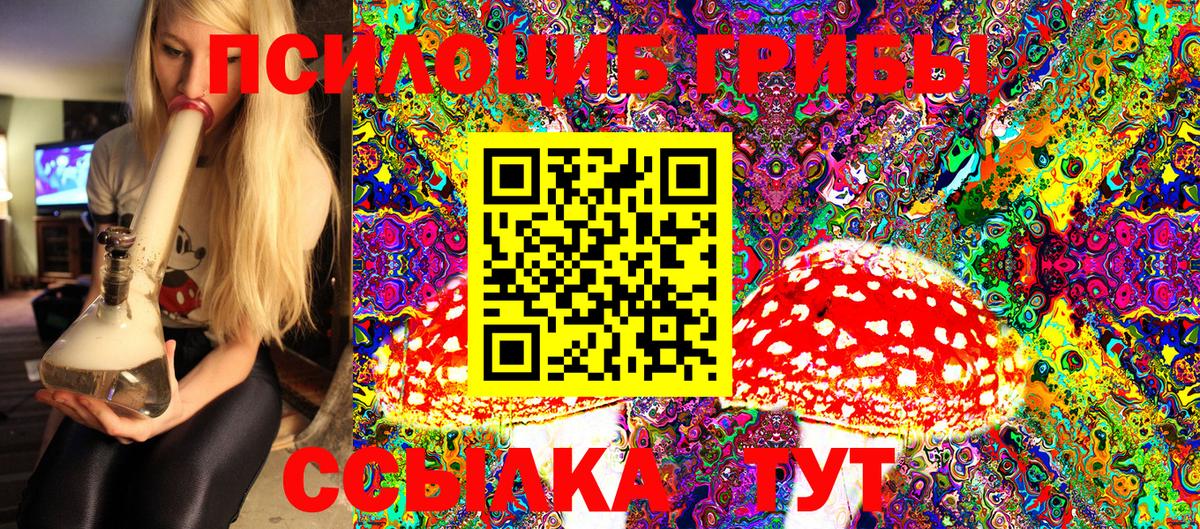 Псилоцибиновые грибы Psilocybe Рыбинск